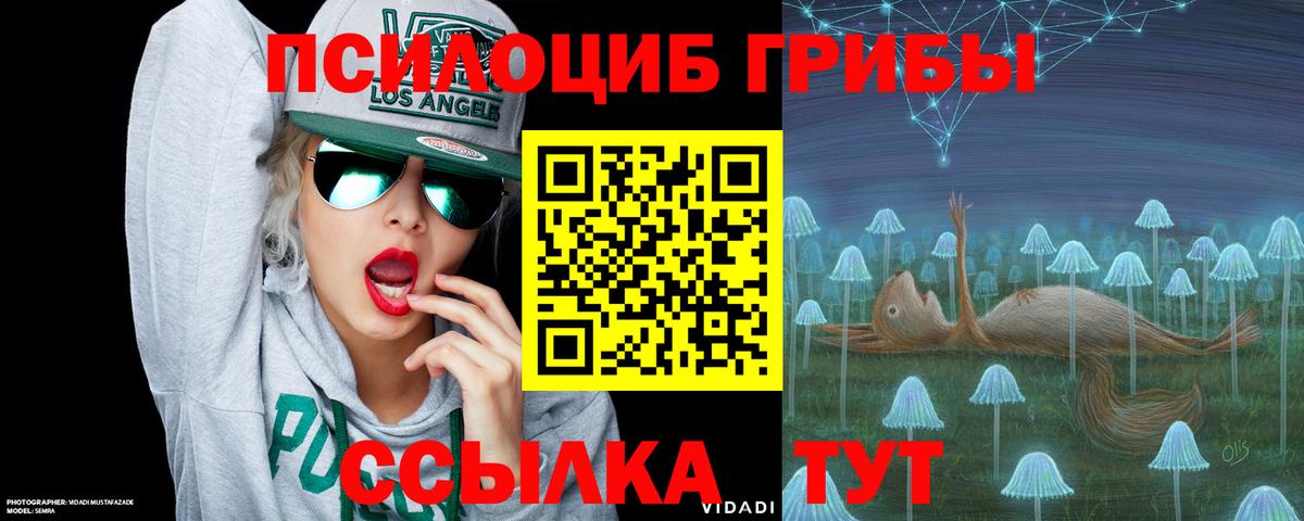 Алатырь  Галлюциногенные грибы GOLDEN TEACHER  Вход с VPN 