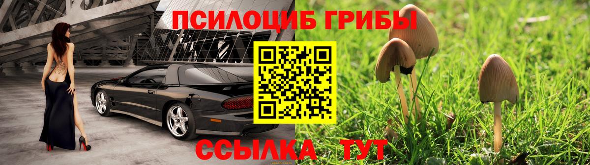 Галлюциногенные грибы Psilocybine cubensis Алатырь